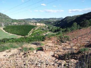 Terrain résidentiel  Xativa