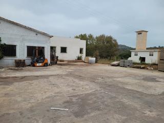 Industrial building  Oliva