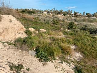 Terrain industriel  Algoros