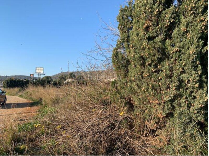 Foto 55a4864b-cd1d-4778-8e67-ffdf863b617e. Terrain résidentiel dans Alcanar