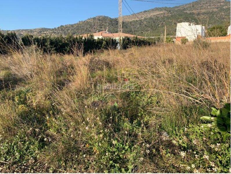 Foto 83c4a133-3ed6-4807-9642-adcc2d7d60b2. Terreno residenziale in Alcanar