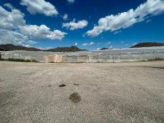 Wohngrundstück in Diseminados