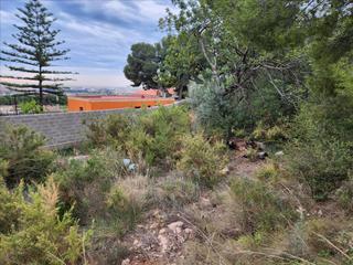 Residential Plot  Pl número 115