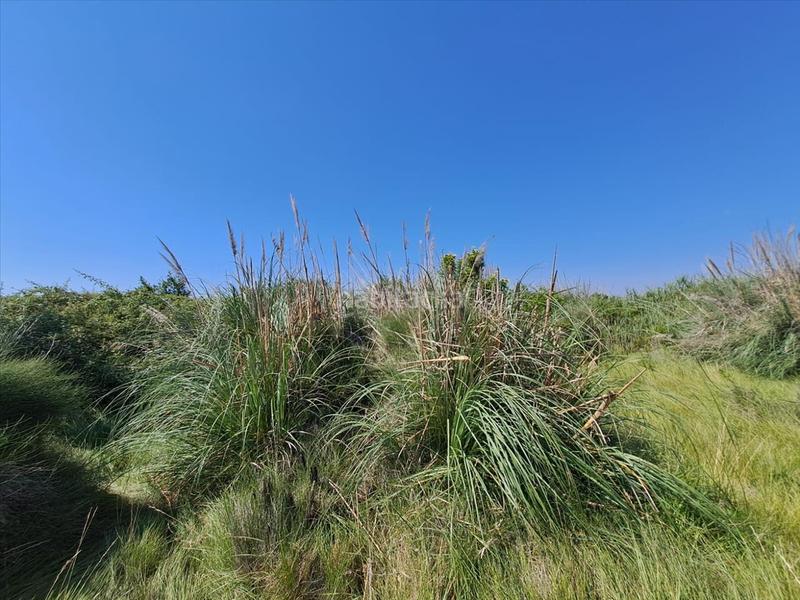 Foto 10f0afc1-0273-49fc-9304-e38967550c38. Wohngrundstück in Chilches