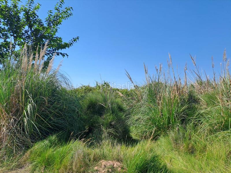 Foto fb742232-7f21-48d4-9daf-f52ff6b82784. Wohngrundstück in Chilches