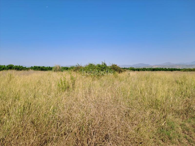 Foto 7304d3ff-de7a-43a5-9c6f-0512f4a416ef. Terreno residencial en Chilches