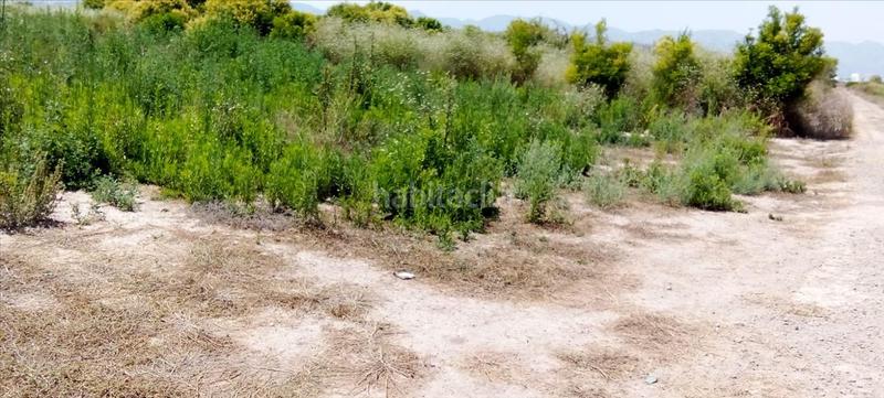 Foto 8d8f83ec-397a-414f-9573-11d5b6c14ef8. Terreno residencial en Chilches