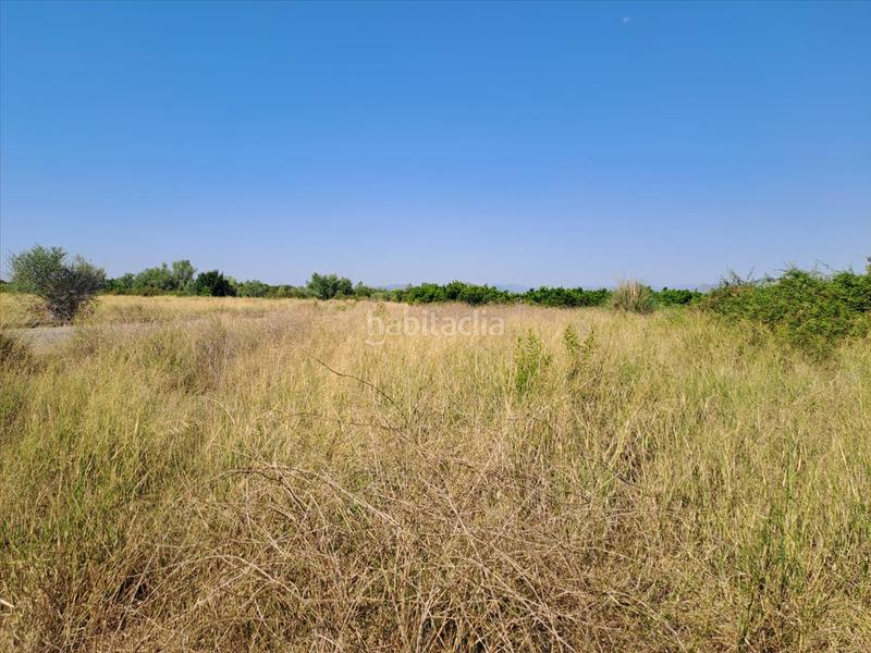 Foto d491801b-a057-4cc8-a792-8be111f9a93c. Terreno residencial en Chilches