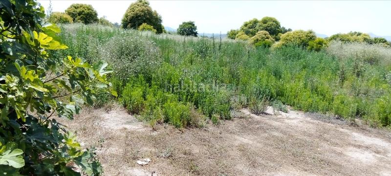 Foto d706fe6a-ca58-47f4-90d8-038d3e0aa94b. Terreno residencial en Chilches