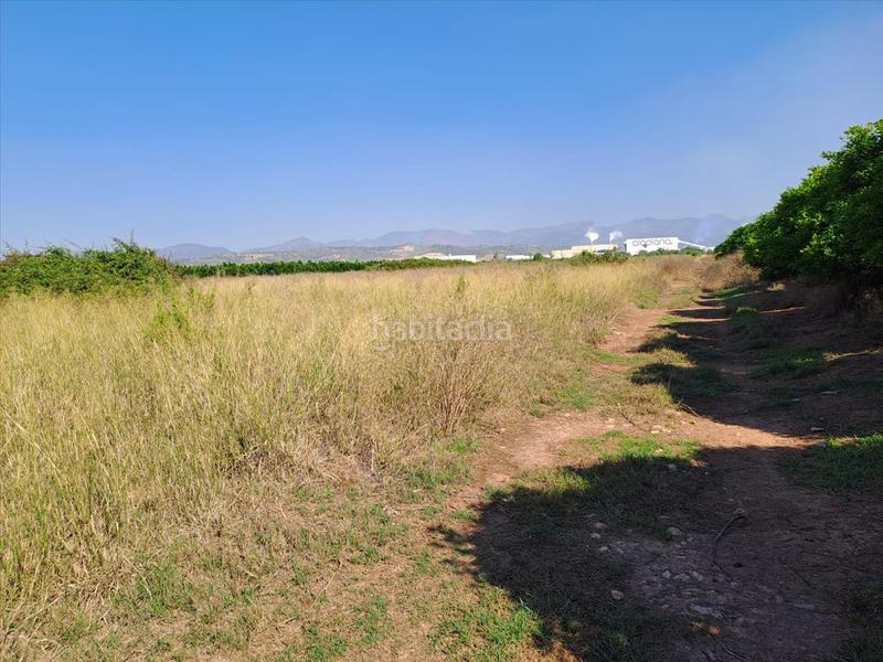 Foto ded4e9e4-e32a-4471-b872-681c4014434d. Terreno residencial en Chilches