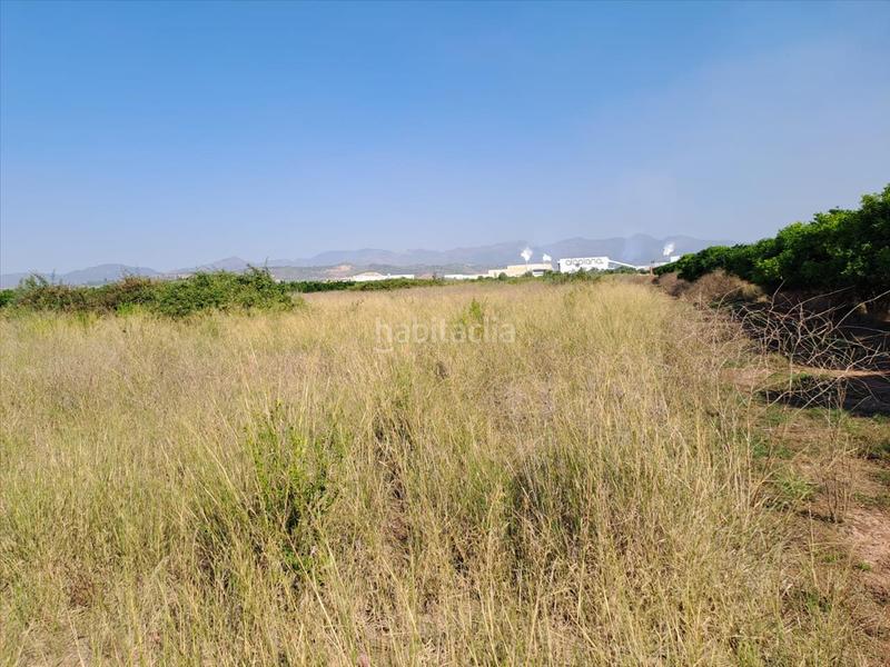 Foto 0b624c90-9e16-493c-9d7d-1a5ffae8ac3e. Terrain résidentiel dans Chilches