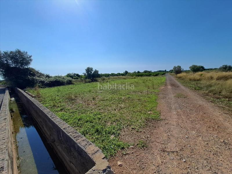 Foto 05c8a397-39bd-413a-bc84-bb3442dac58a. Terreno residencial en Chilches