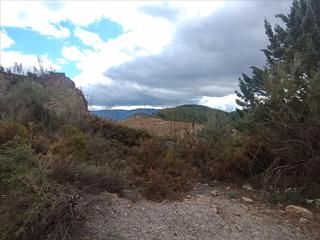 Terreny residencial  3. parcela