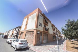 Local Comercial  Constelacion pegaso