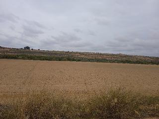 Residential Plot  Pp granados