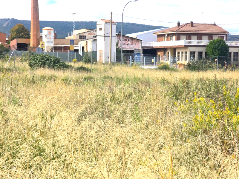 Foto f0cf7c91-f964-4e77-9049-2ab6ea71a552. Terreny residencial a Navarrete