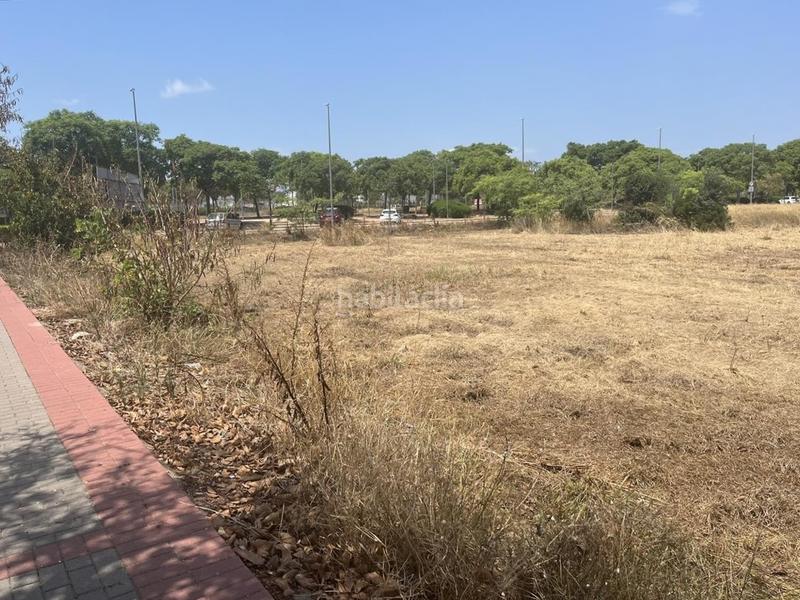 Foto 4f966adf-8869-452b-8832-9f4a14c6f3dd. Terreny residencial a Canet d´en Berenguer