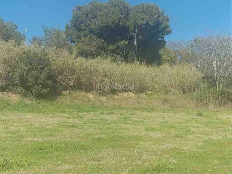 Foto a0e7a994-01ee-426b-9227-773c974616bb. Residential plot in Can Sans Sant Andreu de Llavaneres