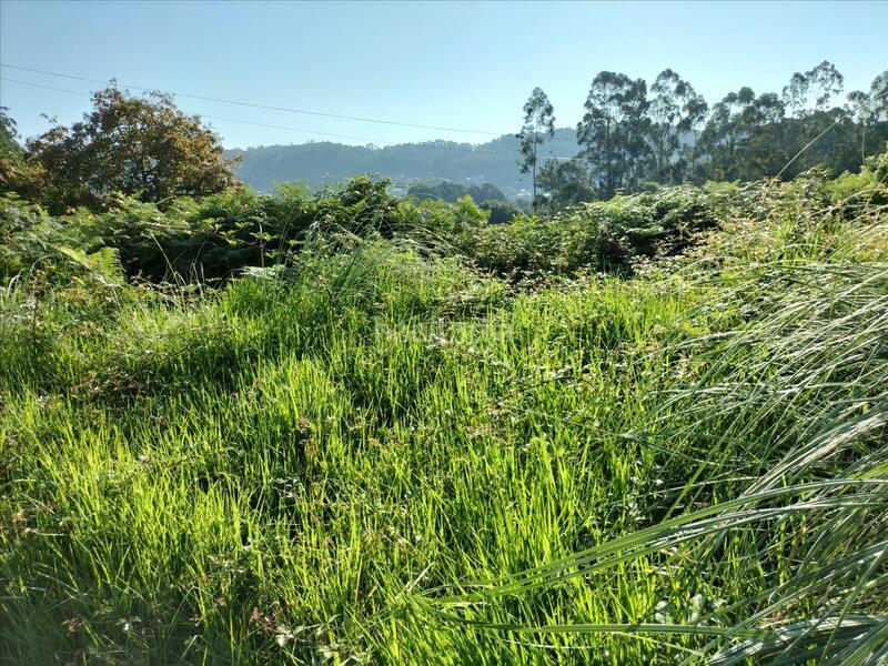 Foto 015a2d8f-0c1c-44fb-9898-0c2c1daa8b47. Terreny residencial a Dorrón Sanxenxo