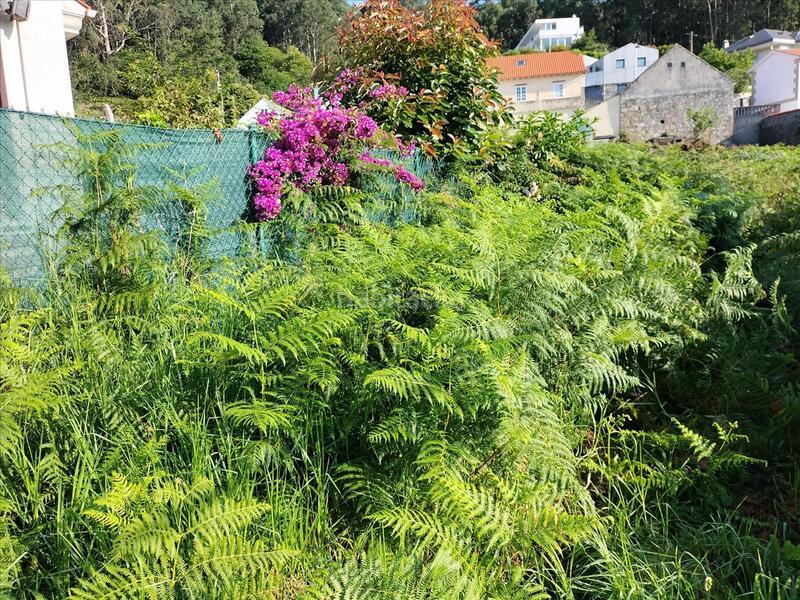 Foto acd3049c-b2b8-4c30-9b71-e5c2de720699. Terreny residencial a Dorrón Sanxenxo