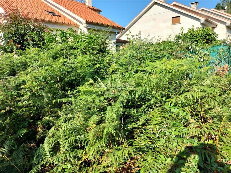 Foto c043fe2c-a6a8-4706-9c0c-4c98985901da. Terreny residencial a Dorrón Sanxenxo