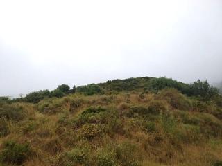 Terreny residencial  Ue s25-arroyo cañadon