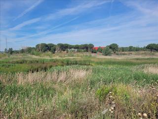 Terreny residencial  1 parcela
