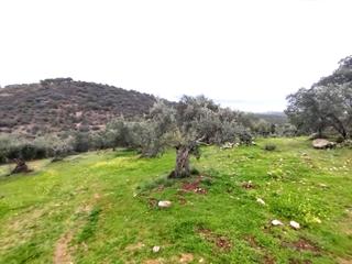 Residential Plot  7. parcela