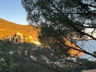 Terreno residenziale in ROSAMAR (PARCELAS 142 A 147, 340 A 344, 358 A 362