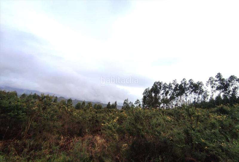 Foto 5d2e0f19-0587-4565-a3fb-043de2a19f6d. Terreno residencial en Carral
