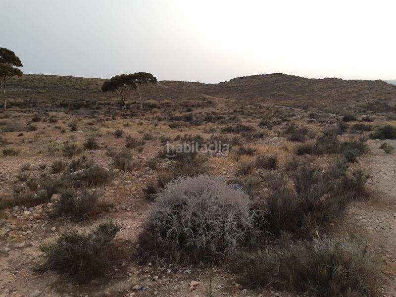 Foto 8f38f946-0ce5-4565-93c0-af2e5e5ae2fe. Terreno residencial en Viator