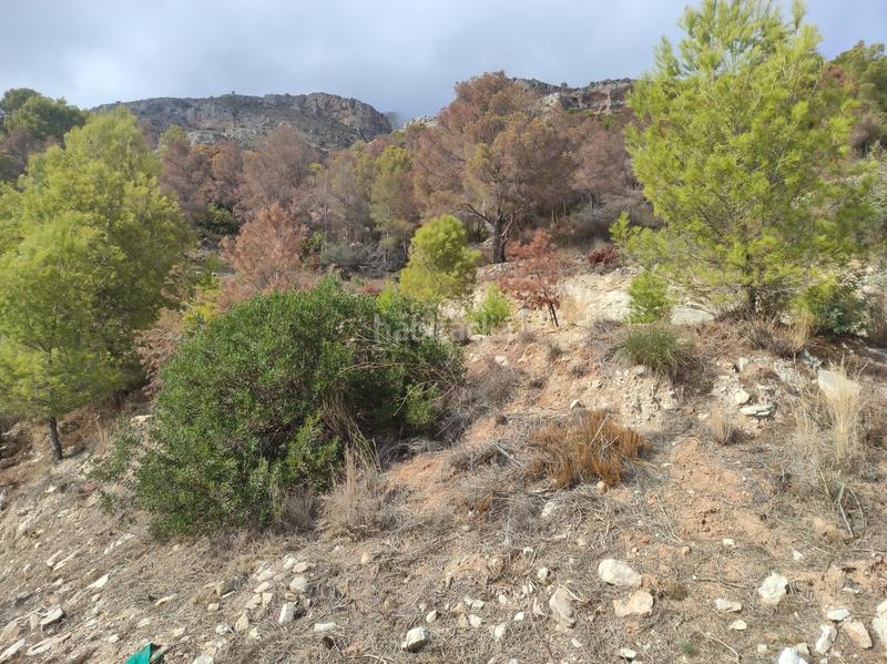 Foto 0edd097c-fb1d-48cd-8ed7-675bcfaa25eb. Terreny residencial a Altea la vella Altea