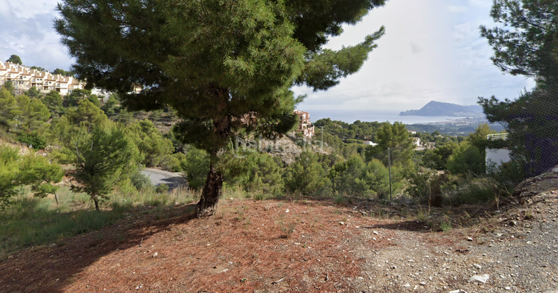 Foto 546ff6ea-2a8c-491a-9b7f-b9a2b1e24d1b. Terreny residencial a Altea la vella Altea