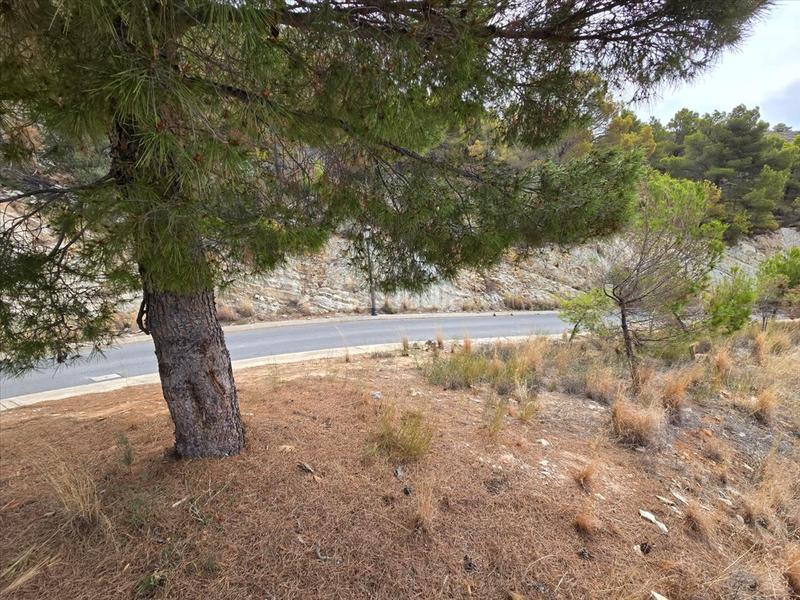 Foto 54957230-859c-4435-a805-972cedd73ac9. Terreny residencial a Altea la vella Altea