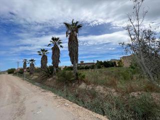 Terreny residencial  Lluis companys