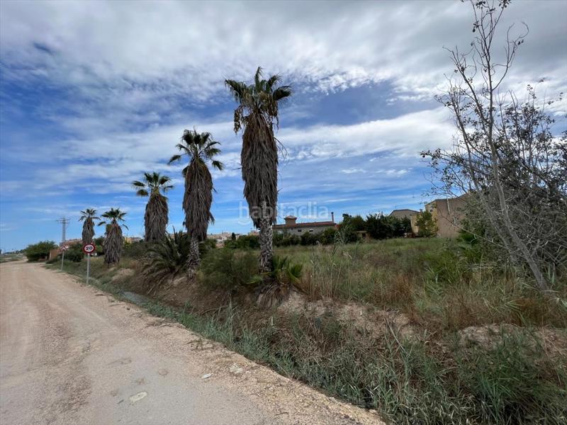 Foto ccba07ea-d71b-41b5-8d4e-6f4434248696. Terreny residencial a Deltebre