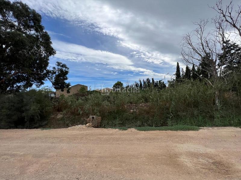 Foto d0890292-42b4-49b2-9d81-8789d808d9d1. Terreny residencial a Deltebre