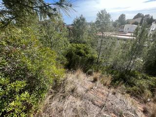 Residential Plot  Mas sole de