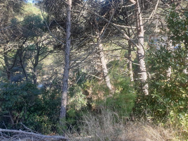 Foto cfcba03d-6f2e-461c-a620-80b402264281. Terreny residencial a Serra Brava Lloret de Mar