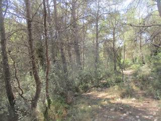 Residential Plot  S sebastia
