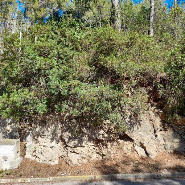 Foto 98142f77-c21d-4207-b25d-96469d347932. Terrain résidentiel dans Vallirana