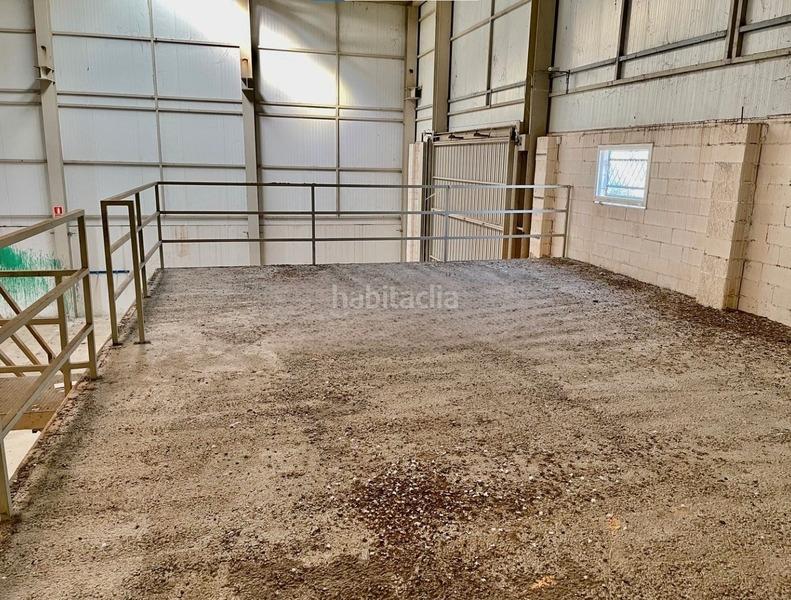 Foto b5054a76-00a3-43e5-968a-28bdae08cdd8. Fabrikhalle in Rodonyà