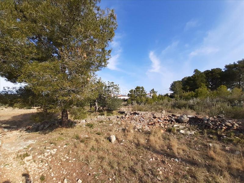 Foto d6c48f1a-a8a5-49bb-b87f-47869f8a05cc. Terreno residenziale in El Casalot Mont-roig del Camp