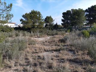 Residential Plot  Deu horus