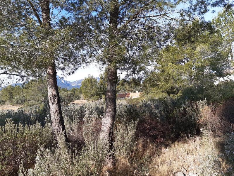 Foto 71a3a86f-355e-484b-8676-4416b5109299. Terreny residencial a El Casalot Mont-roig del Camp