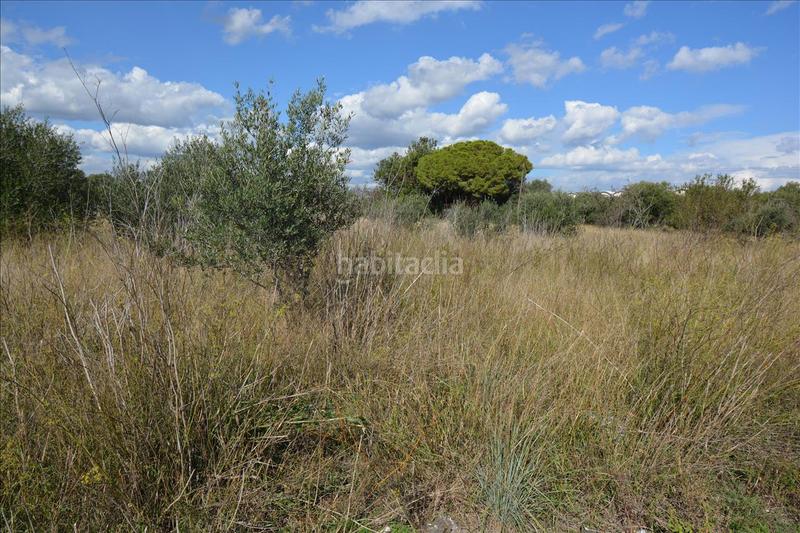 Foto 465f3b54-2426-413b-805d-d16910094c7d. Terreno residencial en Cambrils port Cambrils