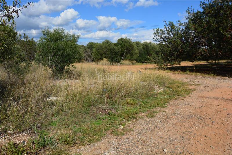 Foto 47ca8801-133e-4a02-affb-f297184d1c8c. Terreno residencial en Cambrils port Cambrils