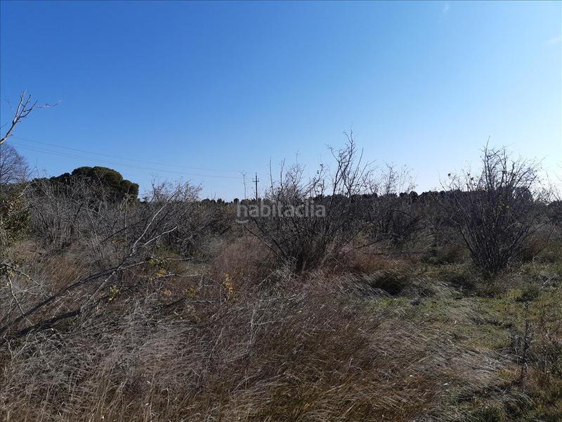 Foto 99022a7b-3f8e-434e-bf8c-f880e7037e59. Terreno residencial en Cambrils port Cambrils