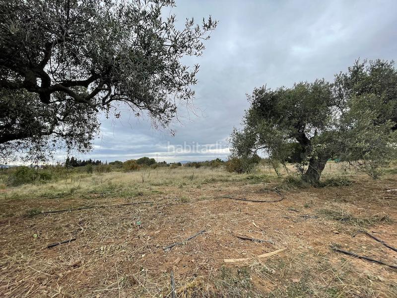 Foto c5d0587f-394b-4792-98df-96ddd1cccef8. Terreno residencial en Cambrils port Cambrils