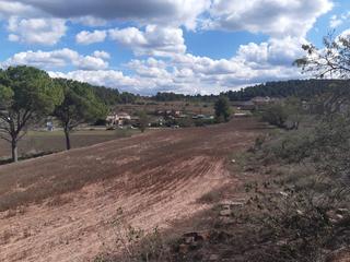 Residential Plot  General prim